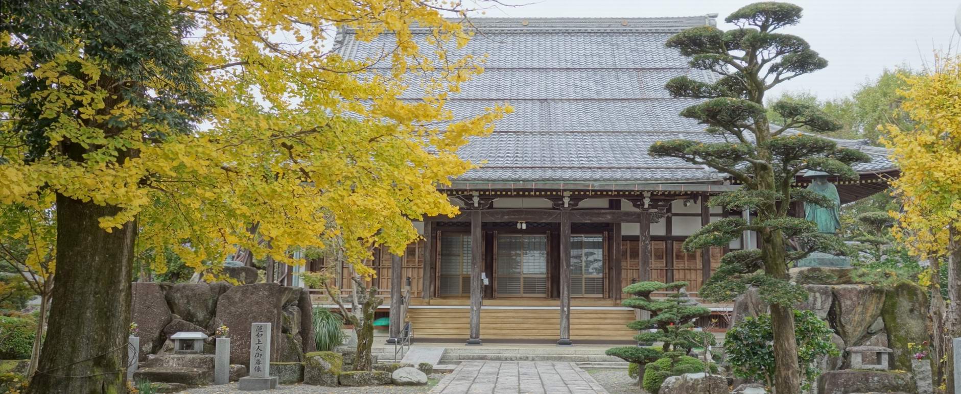 性顕寺のホームページへようこそ