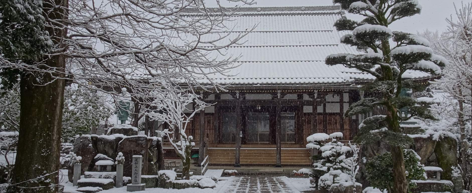 性顕寺のホームページへようこそ